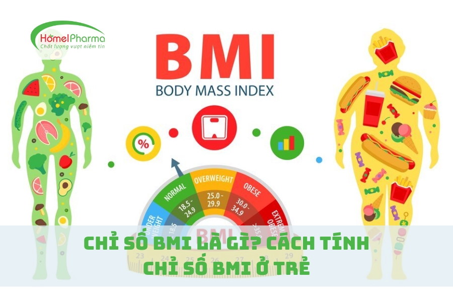 Chỉ Số BMI Là Gì? Cách Tính Chỉ Số BMI Ở Trẻ