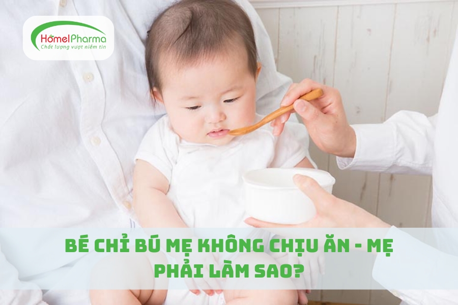 Bé Chỉ Bú Mẹ Không Chịu Ăn - Mẹ Phải Làm Sao?