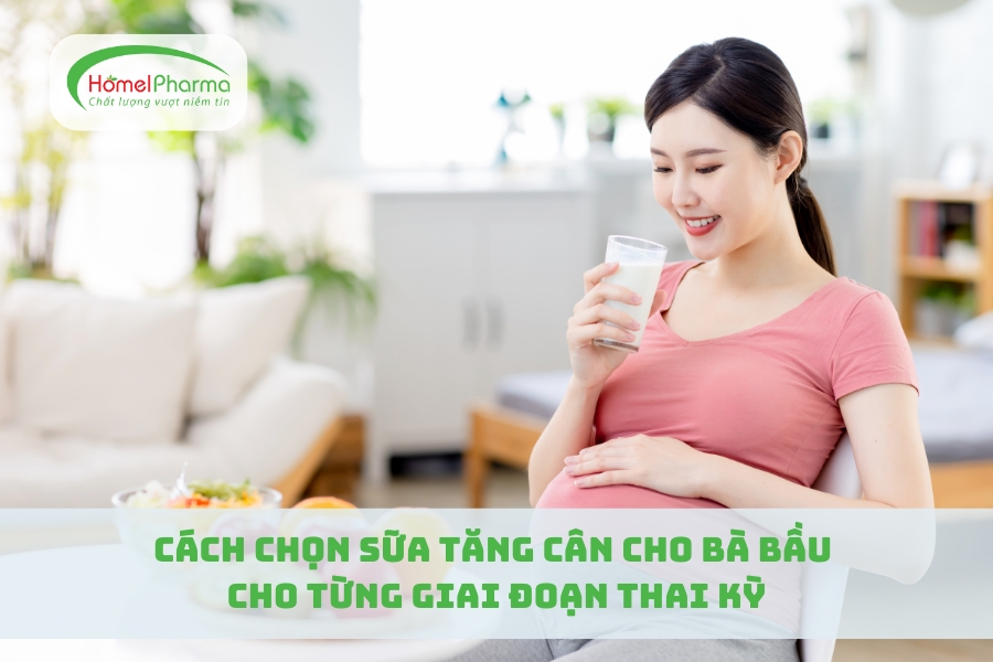 Cách Chọn Sữa Tăng Cân Cho Bà Bầu Cho Từng Giai Đoạn Thai Kỳ