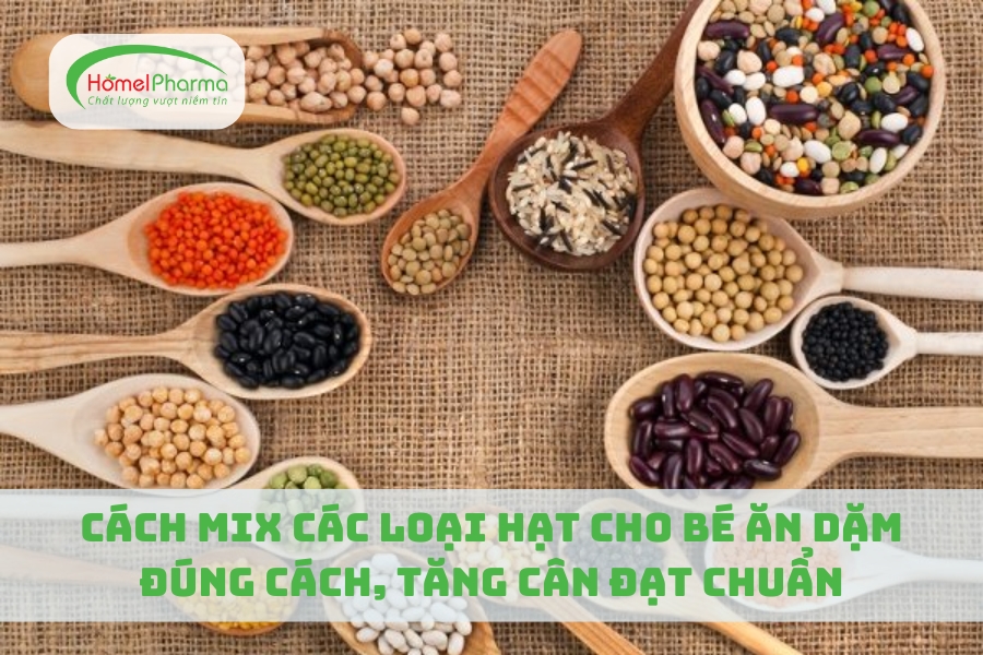 Cách Mix Các Loại Hạt Cho Bé Ăn Dặm Đúng Cách, Tăng Cân Đạt Chuẩn