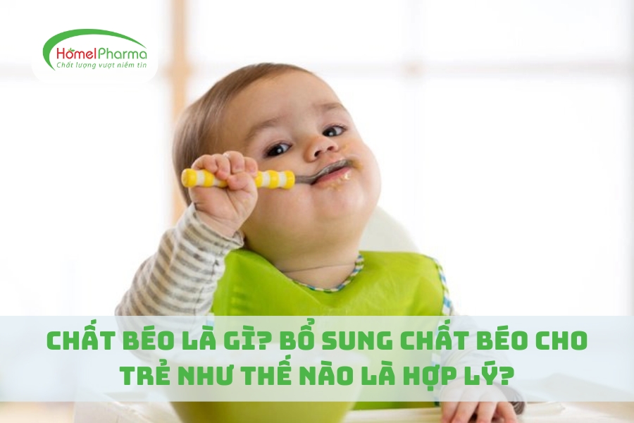 Chất Béo Là Gì? Bổ Sung Chất Béo Cho Trẻ Như Thế Nào Là Hợp Lý?