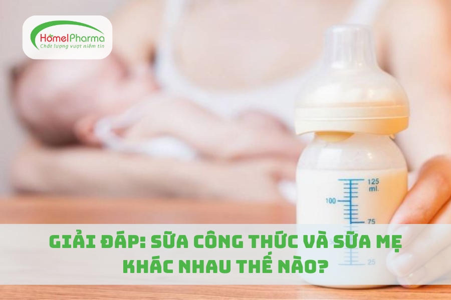 Giải Đáp: Sữa Công Thức Và Sữa Mẹ Khác Nhau Thế Nào?