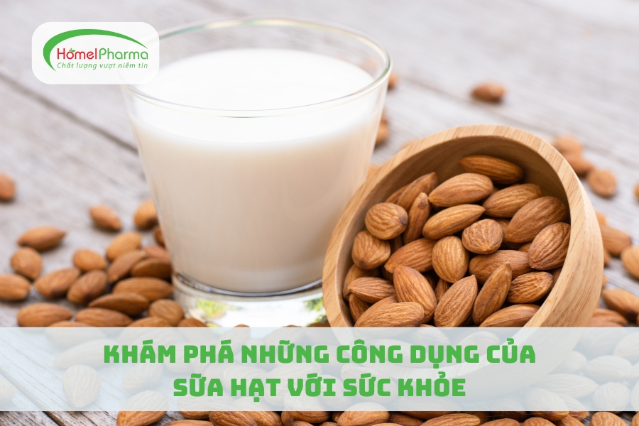 Khám Phá Những Công Dụng Của Sữa Hạt Với Sức Khỏe