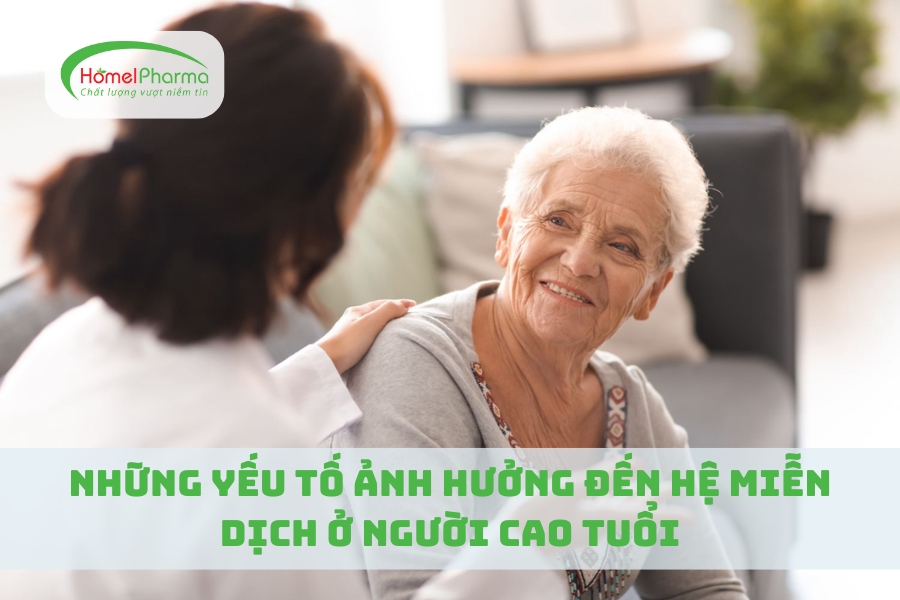 Những Yếu Tố Ảnh Hưởng Đến Hệ Miễn Dịch Ở Người Cao Tuổi