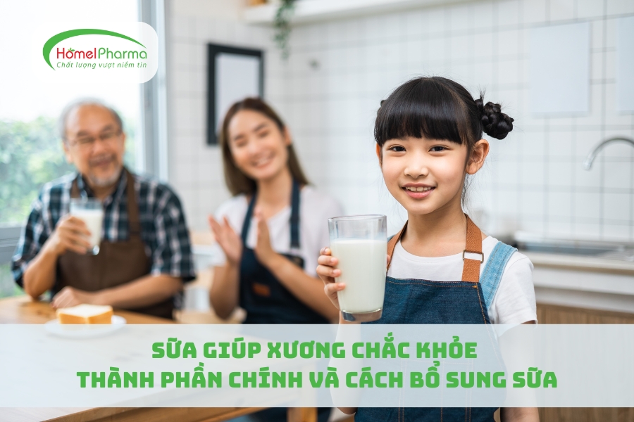 Sữa Giúp Xương Chắc Khỏe: Thành Phần Chính và Cách Bổ Sung Sữa