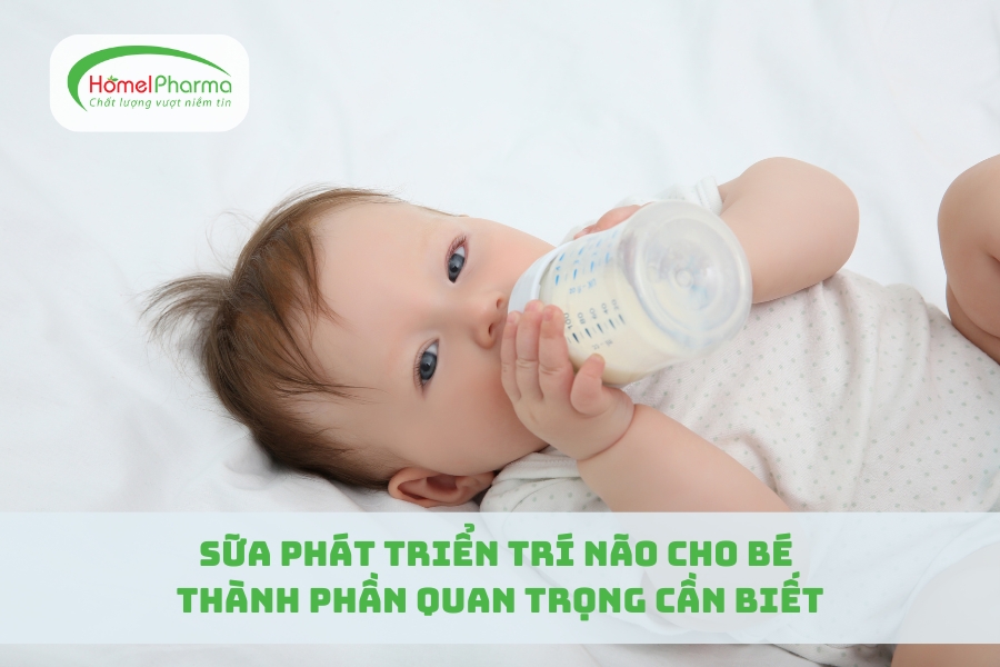 Sữa Phát Triển Trí Não Cho Bé: Thành Phần Quan Trọng Cần Biết