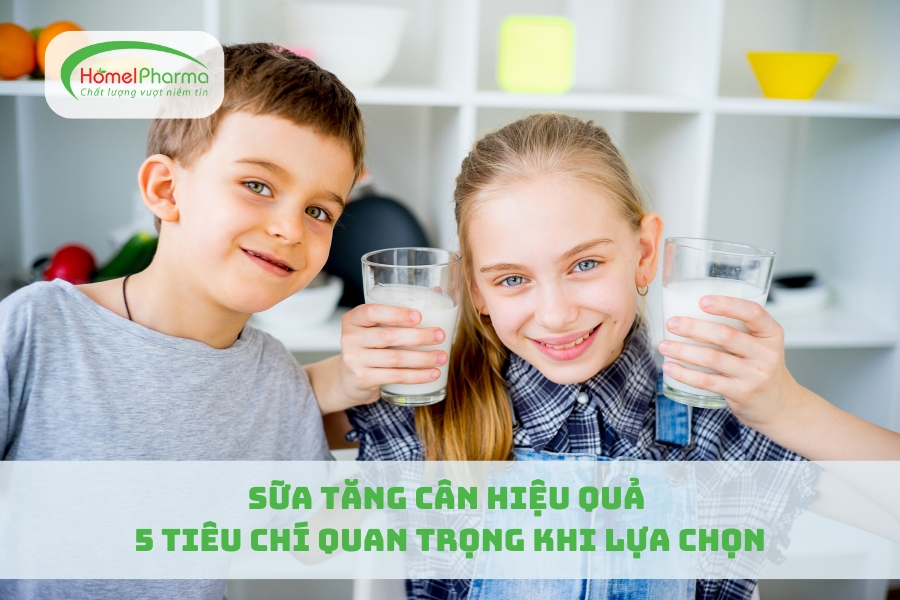 Sữa Tăng Cân Hiệu Quả: 5 Tiêu Chí Quan Trọng Khi Lựa Chọn