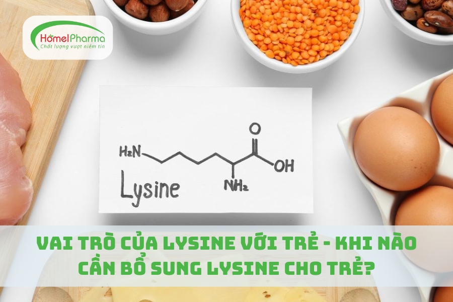 Vai Trò Của Lysine Với Trẻ - Khi Nào Cần Bổ Sung Lysine Cho Trẻ?