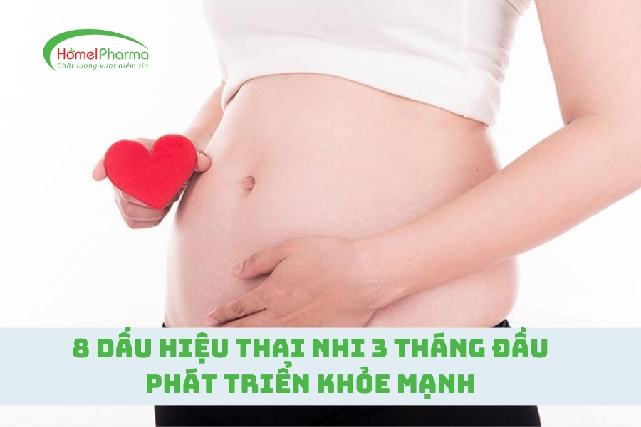 8 Dấu Hiệu Thai Nhi 3 Tháng Đầu Phát Triển Khỏe Mạnh