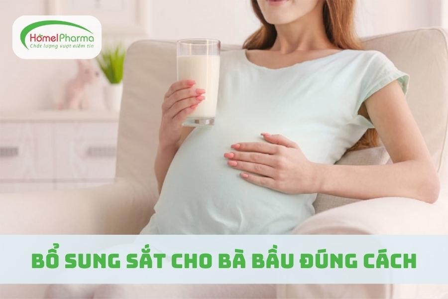 Bổ Sung Sắt Cho Bà Bầu Đúng Cách