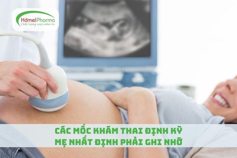 Các Mốc Khám Thai Định Kỳ Mẹ Nhất Định Phải Ghi Nhớ