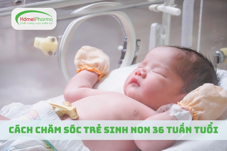 Cách Chăm Sóc Trẻ Sinh Non 36 Tuần Tuổi