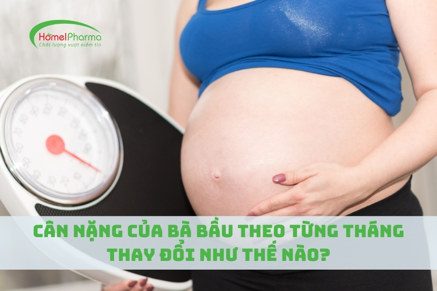 Cân Nặng Của Bà Bầu Theo Từng Tháng Thay Đổi Như Thế Nào?