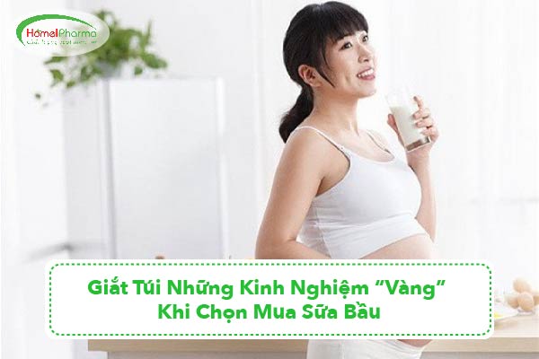 Dắt Túi Những Kinh Nghiệm “Vàng” Khi Chọn Mua Sữa Bầu