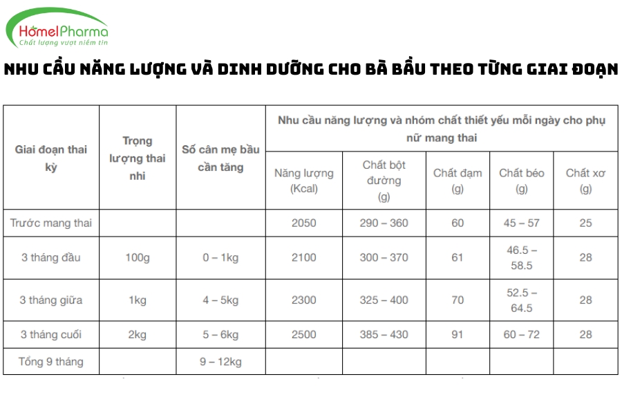 Lời Khuyên Về Chế Độ Dinh Dưỡng Cho Bà Bầu