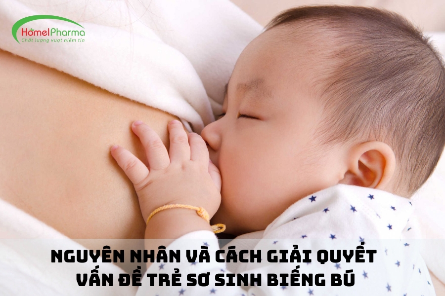 Nguyên Nhân Và Cách Giải Quyết Vấn Đề Trẻ Sơ Sinh Biếng Bú