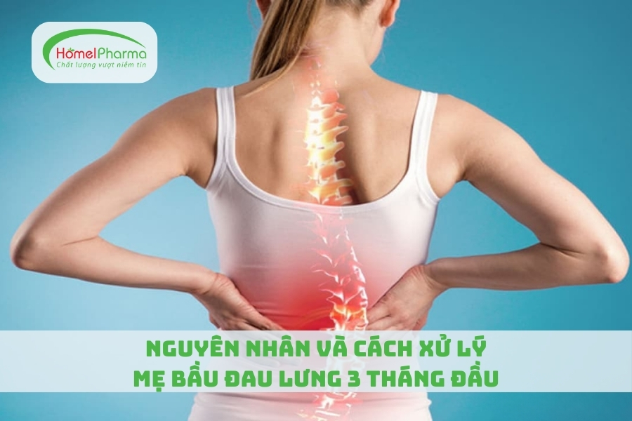 Nguyên Nhân Và Cách Xử Lý Mẹ Bầu Đau Lưng 3 Tháng Đầu