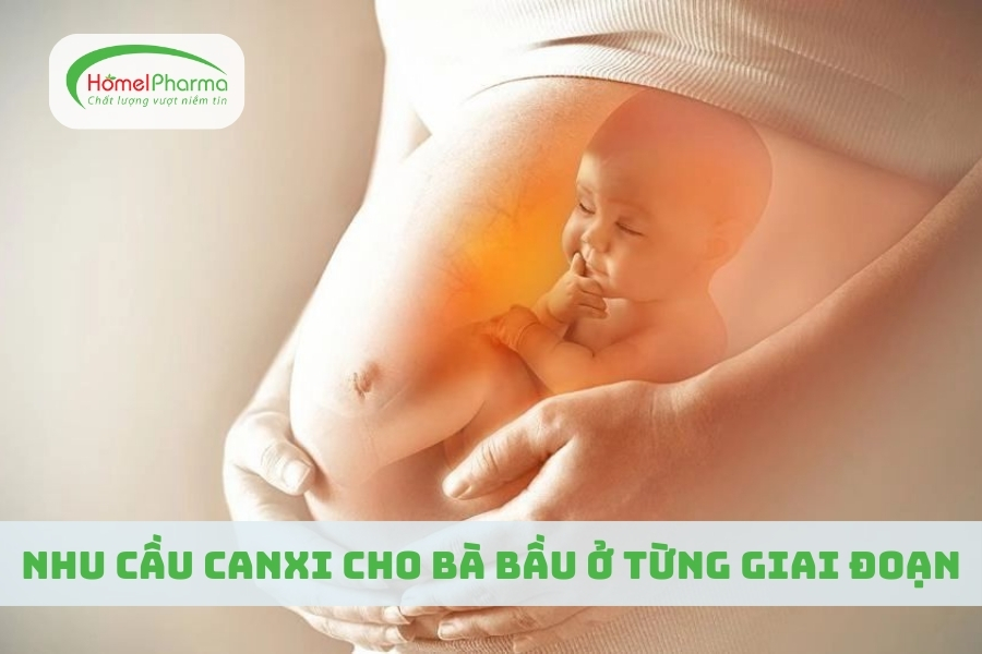 Nhu Cầu Canxi Cho Bà Bầu Ở Từng Giai Đoạn