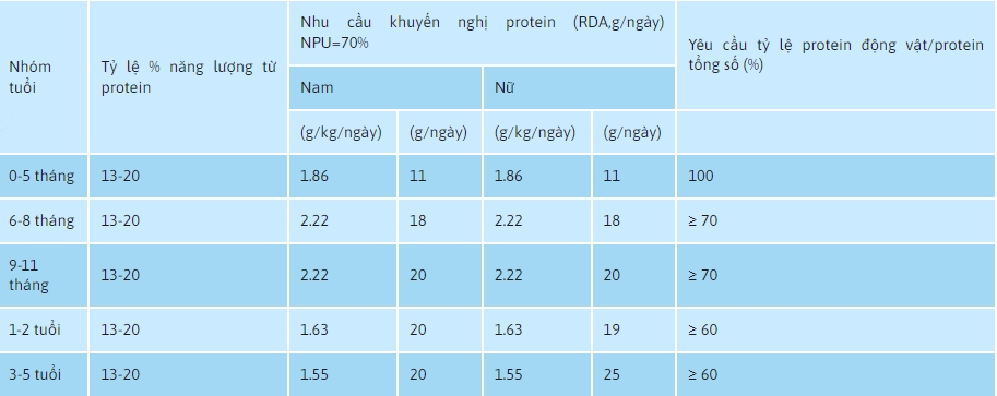 Những Điều Cần Biết Khi Bổ Sung Đạm Whey Cho Trẻ