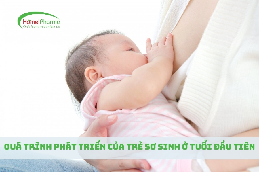 Quá Trình Phát Triển Của Trẻ Sơ Sinh Ở Tuổi Đầu Tiên