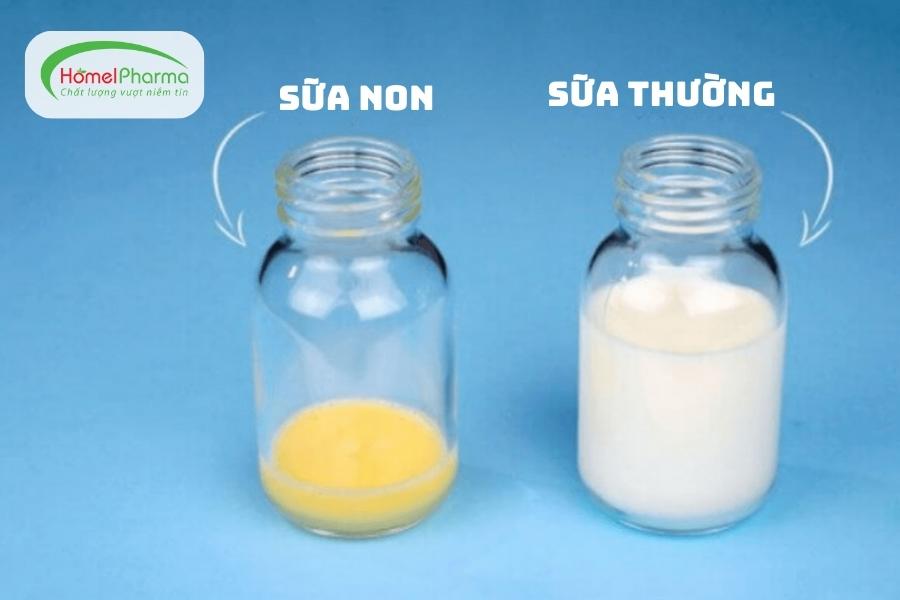 Sữa Non Cho Trẻ - Nguồn Dinh Dưỡng Kỳ Diệu