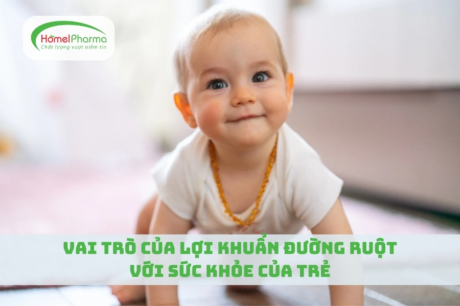 Vai Trò Của Lợi Khuẩn Đường Ruột Với Sức Khỏe Của Trẻ